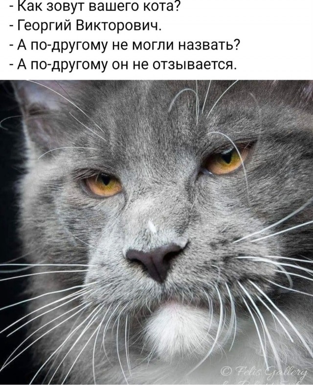 Так себе картинки 28.10.23