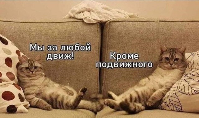 Химия и жизнь