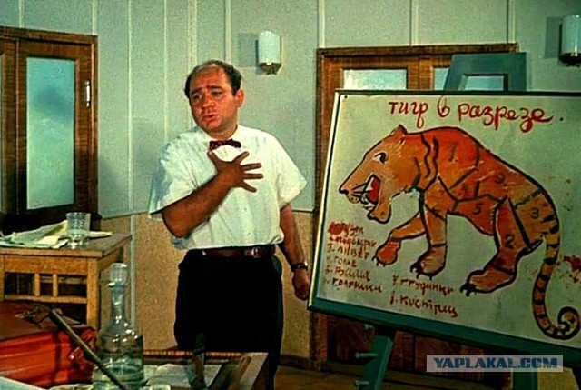 Закон разрешит посмертное изъятие органов у детей