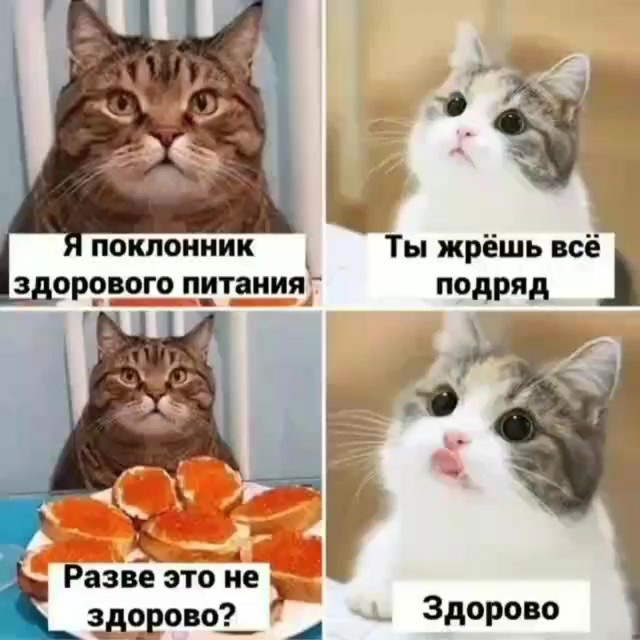 Личный мужской гарем и стул из рабыни. Невероятные приключения полудикой африканской королевы