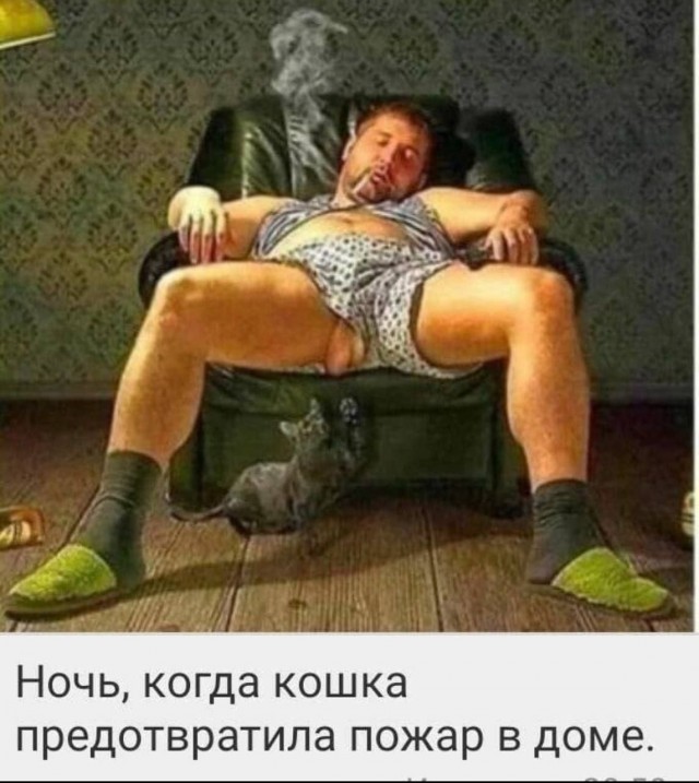 Весёлый полтишок 13.03.24