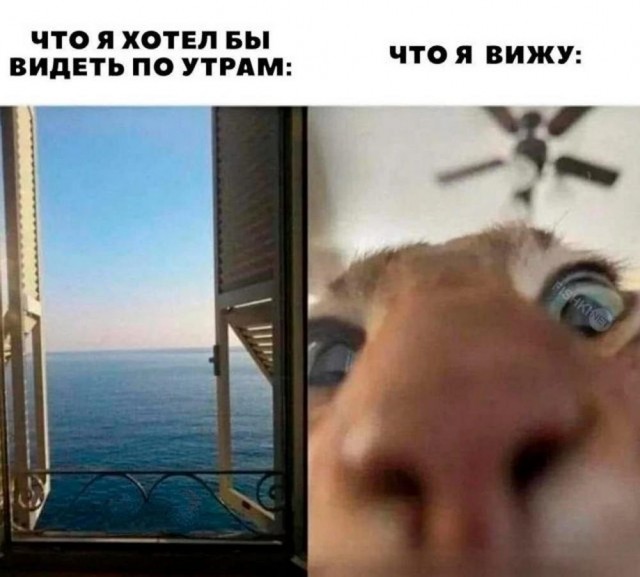 Всего понемногу. От 21.06.2024