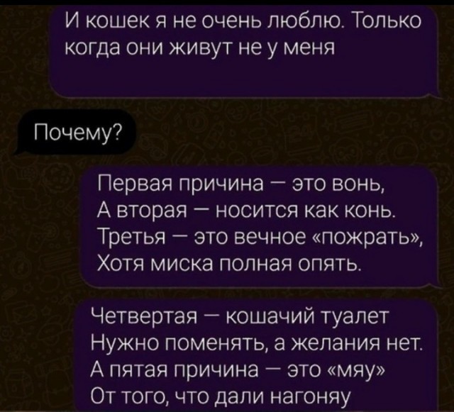 Всего понемногу. От 05.07.24