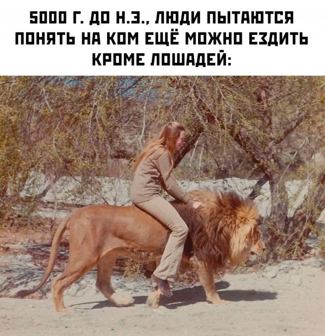 Весёлый полтишок 27.08.24