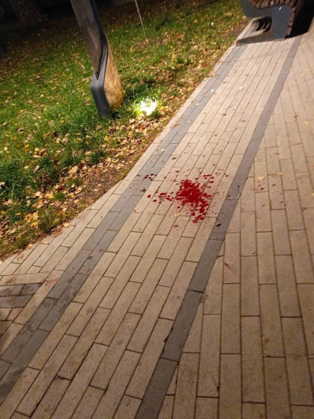 Сотрудники полиции разбираются в обстоятельствах инцидента в городе Пушкино