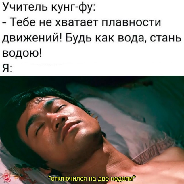 Весёлый полтишок 01.11.24