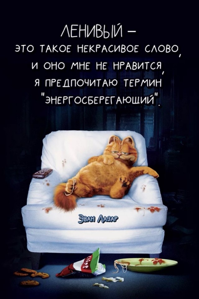 Котовторник в картинках