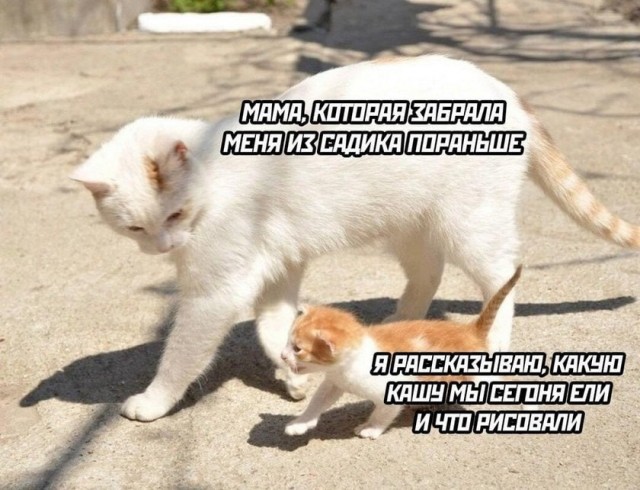 Завалялось тут случайно немного забавных картинок