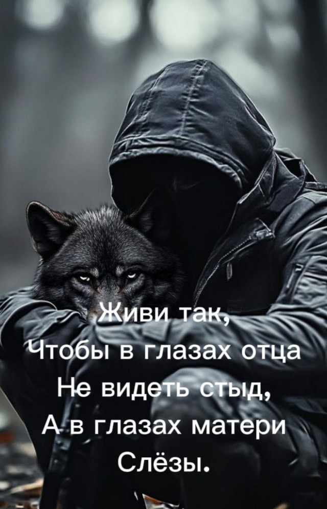 Прикольные и просто красивые картинки 03.01.2025
