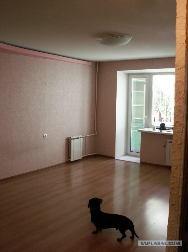 Да будет свет.