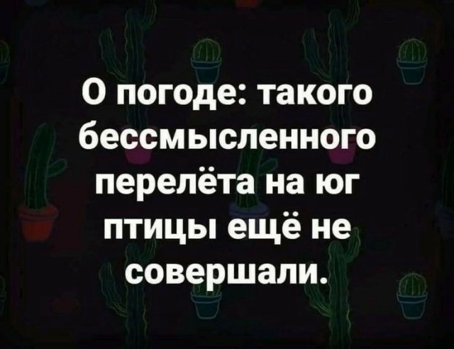 Так себе картинки 31.01.25