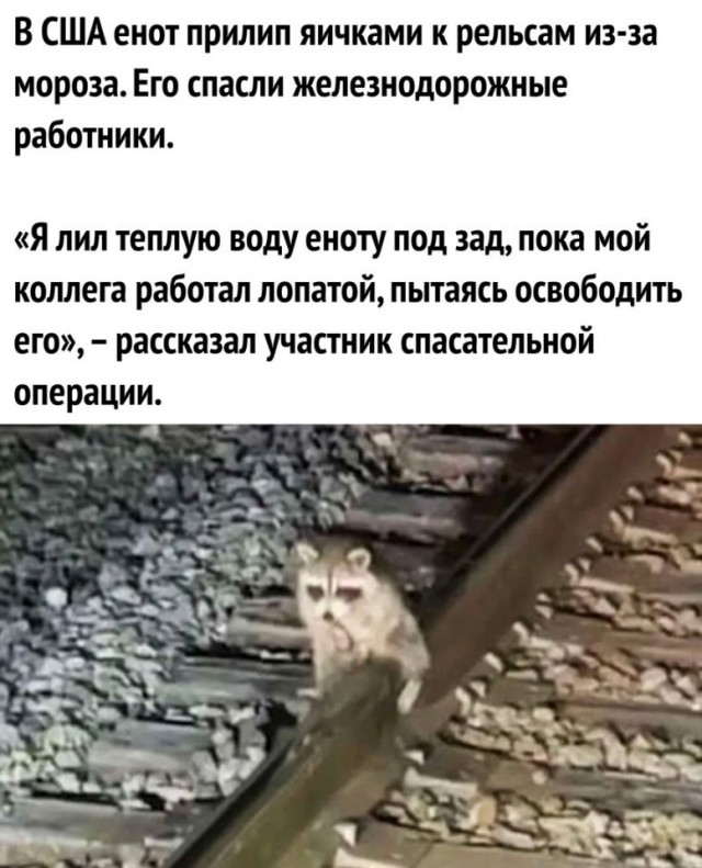 Так себе картинки 06.02.25