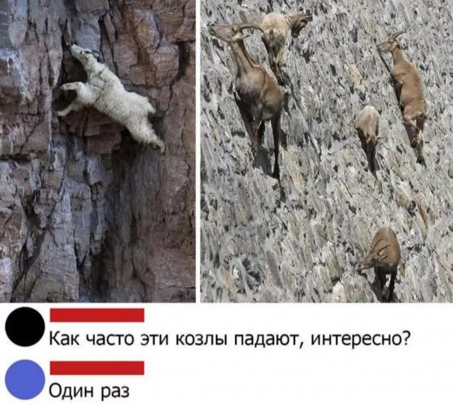 Завалялось тут случайно немного забавных картинок