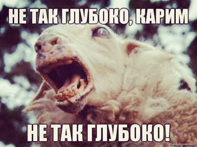 Пост картинок без морали