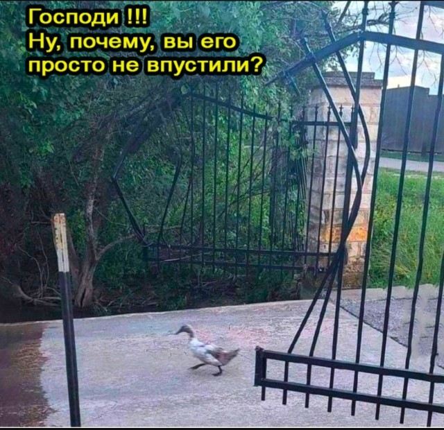 Так себе картинки 15.06.25