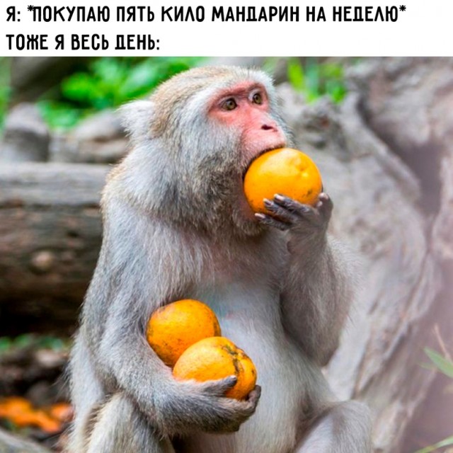 Картинки для деградации-6 (разной степени свежести)