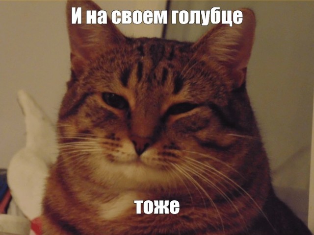Такие вот.... Голубцы