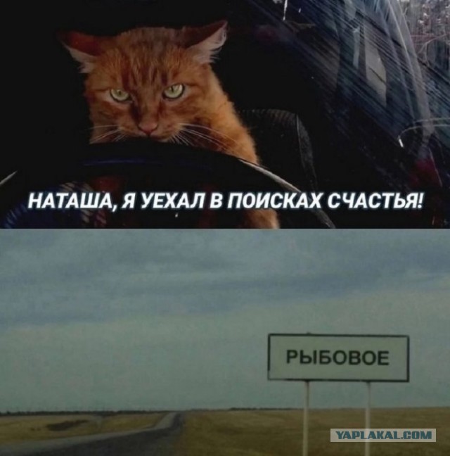 Забавные и не очень скромные картинки - 18
