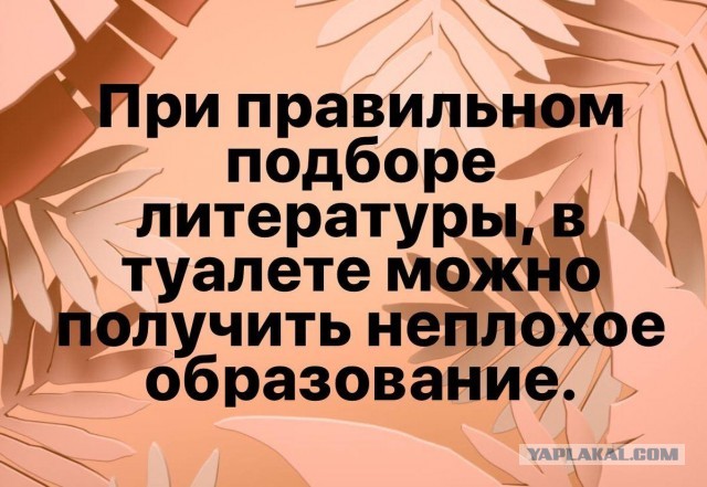 Картинки для деградации 95 (разной степени свежести)