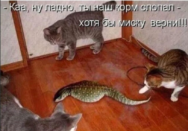 Так себе картинки 06.12.25