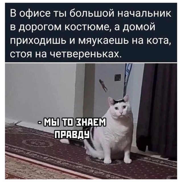 Четверговые картинки