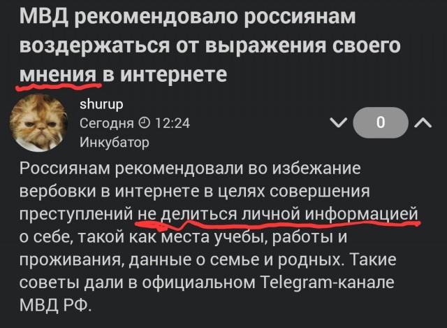 МВД рекомендовало россиянам воздержаться от выражения своего мнения в интернете