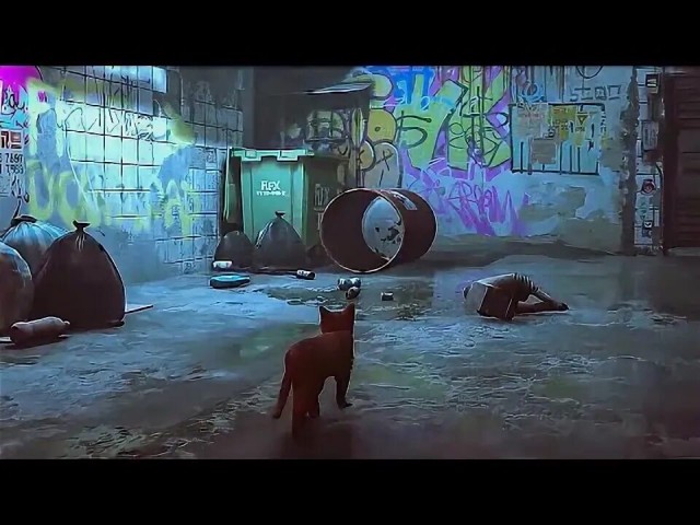 Несдающийся котёнок
