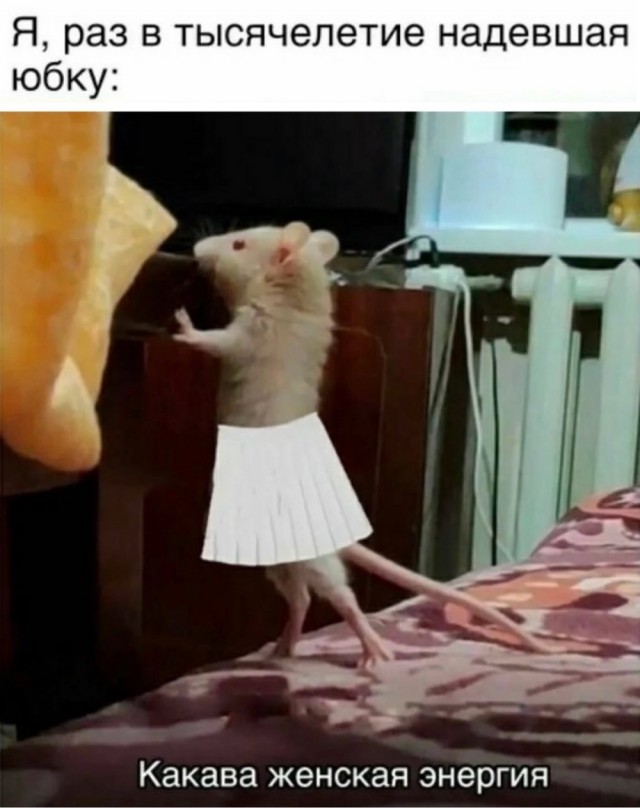 Субботние картинки