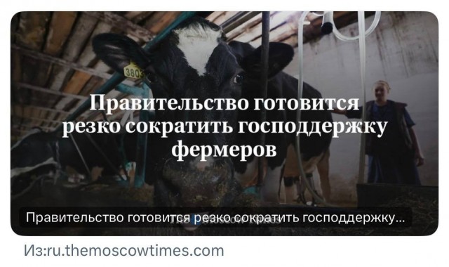 Африканерам-переселенцам выделят 500 гектаров земли во Владимирской области.