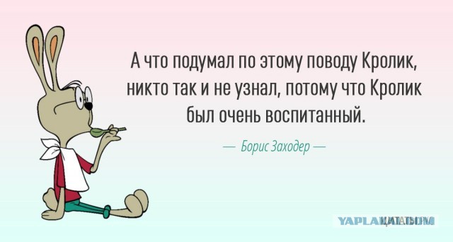 Когда сравнивают СВО и ВОВ