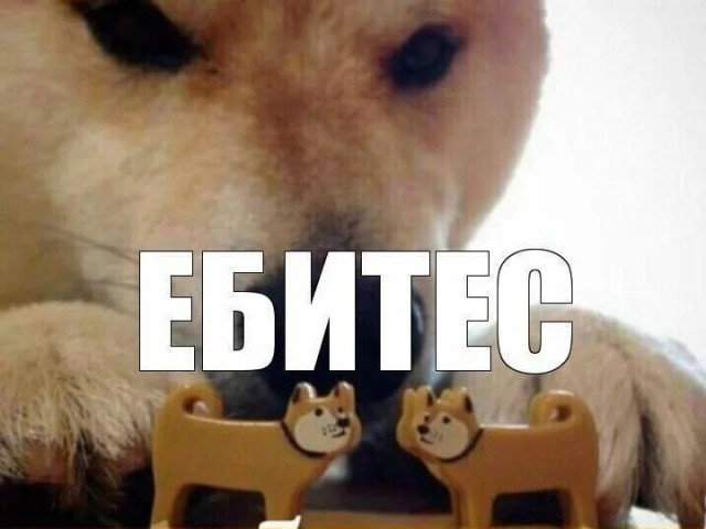 Кажется у кого то стервозность повысилась.