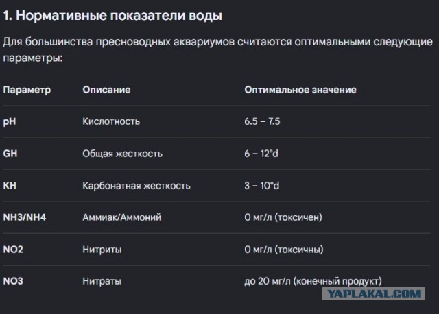 Про аквариумы чет давно не было, а среда ж как никак(прошла)