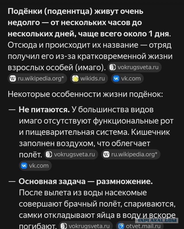 Помянем