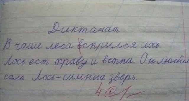 Сапы