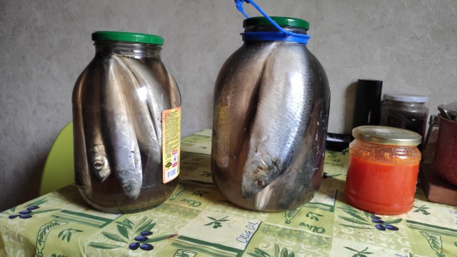 Скиньте рандомную хрень