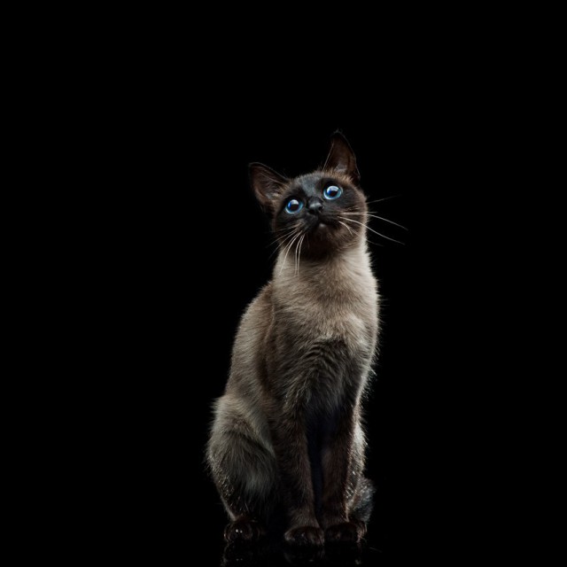 Моё фото прекрасно!