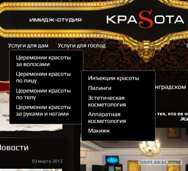 Разрешите вступиться за русский язык