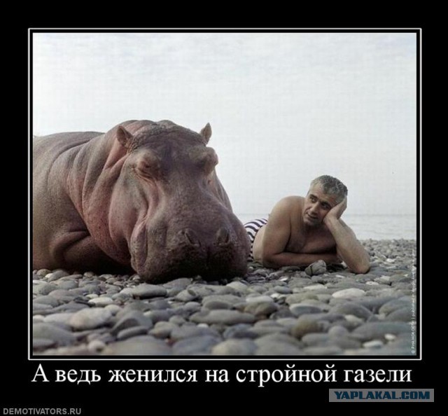 Улыбнуло