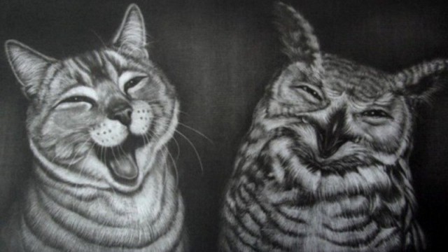 Фотки из инетов