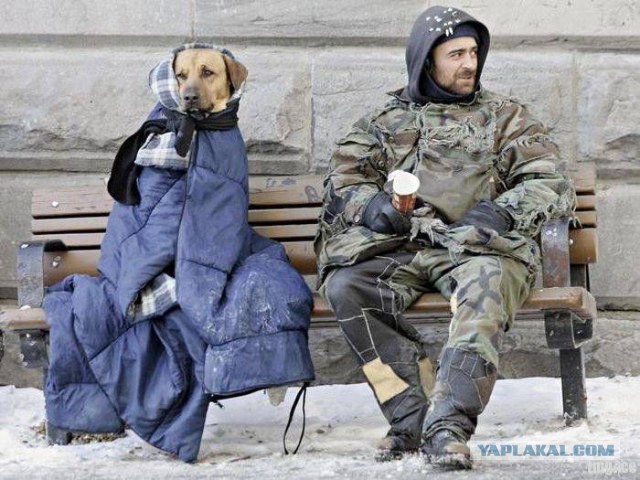Пятничная подборка