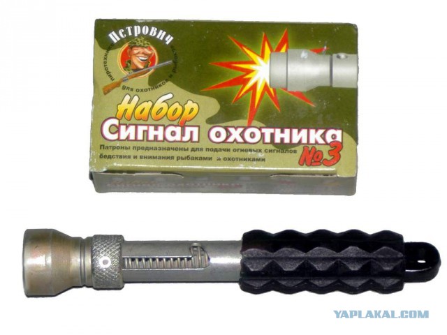 Нападение бродячих собак в Перми