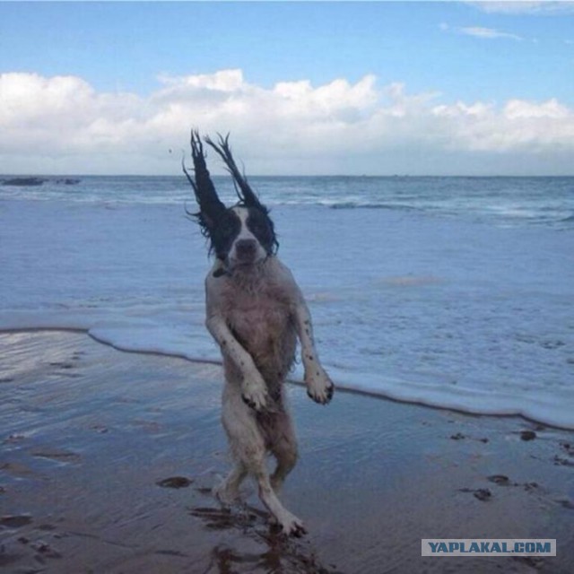 Подборка картинок