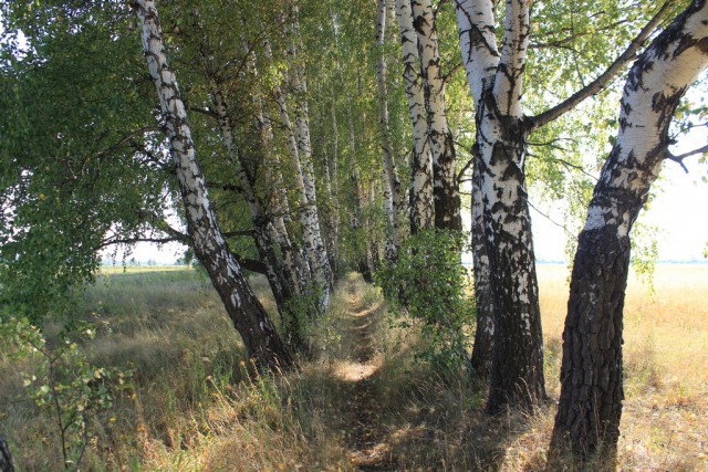 Россия