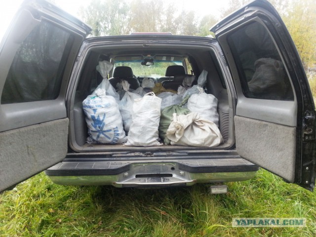 Чем кроссовер отличается от внедорожника