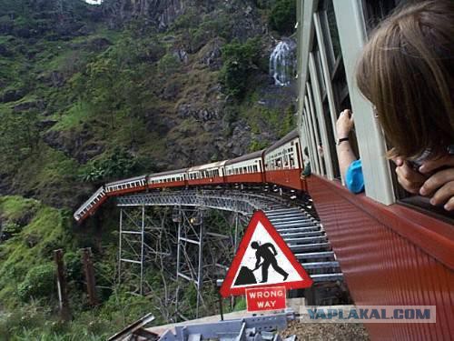 После щелчка фотоаппарата их не стало