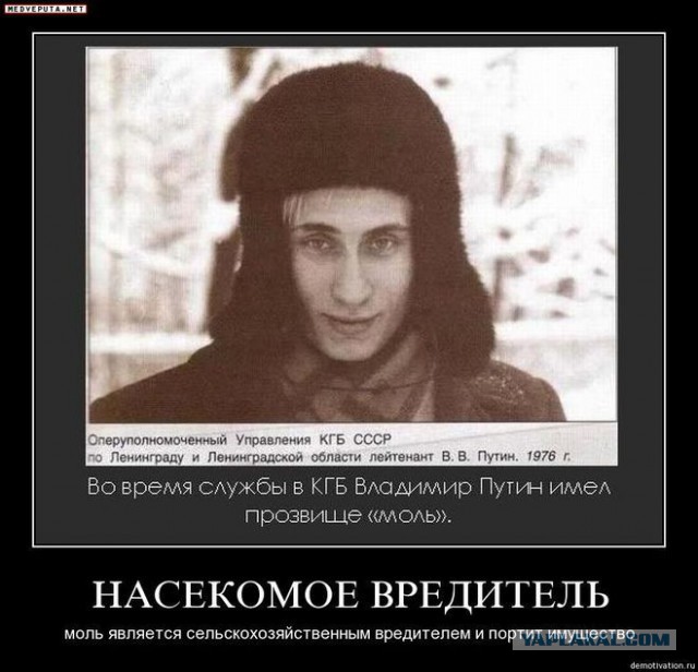 Васильевой вернули 325 млн и знаменитую квартиру в Молочном переулке