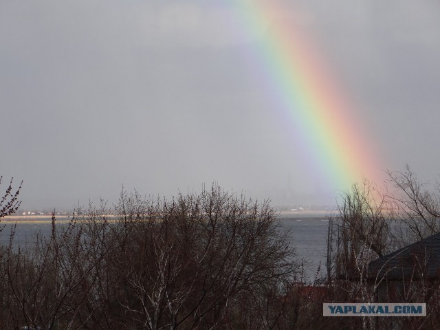 Подборка интересных и веселых картинок