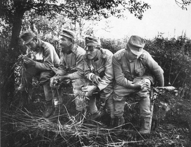 Запад-81. Дневники лейтенанта-взводного.