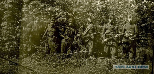 Специальные группы НКВД на Западной Украине. 1944 — 1945 годы.