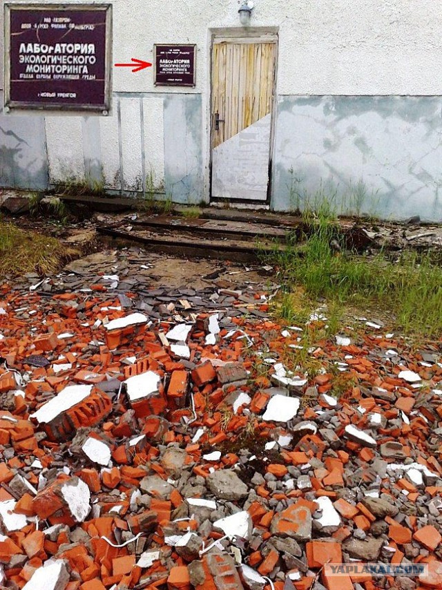 Немного когнитивного диссонанса